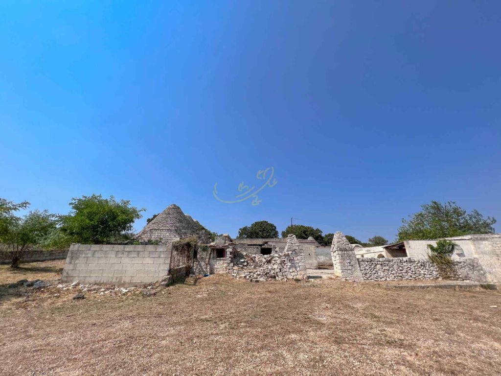 G173248416526333