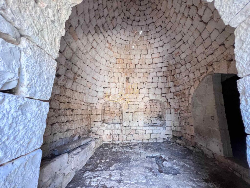 G1732484179519318