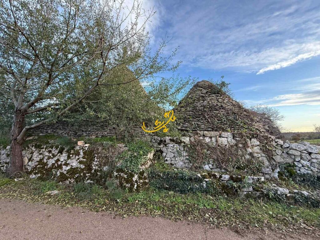 20251127114550-23