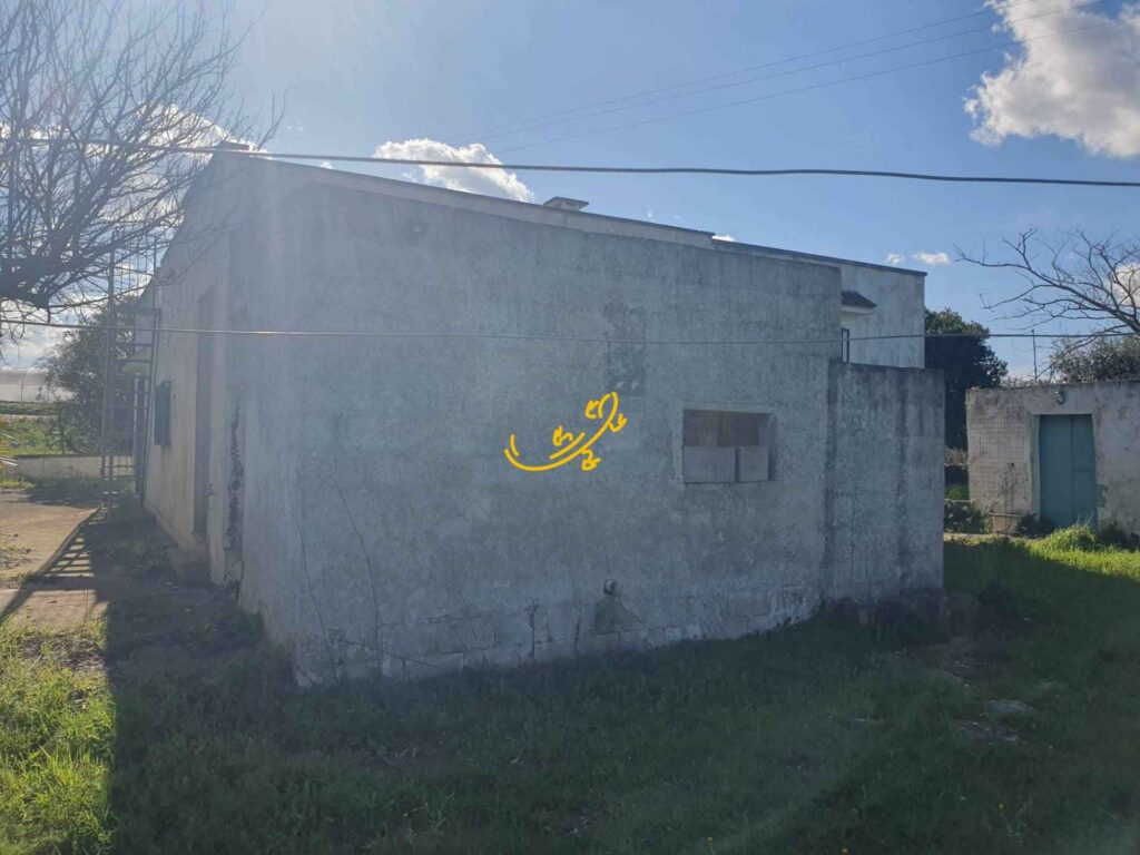20260219123118-15