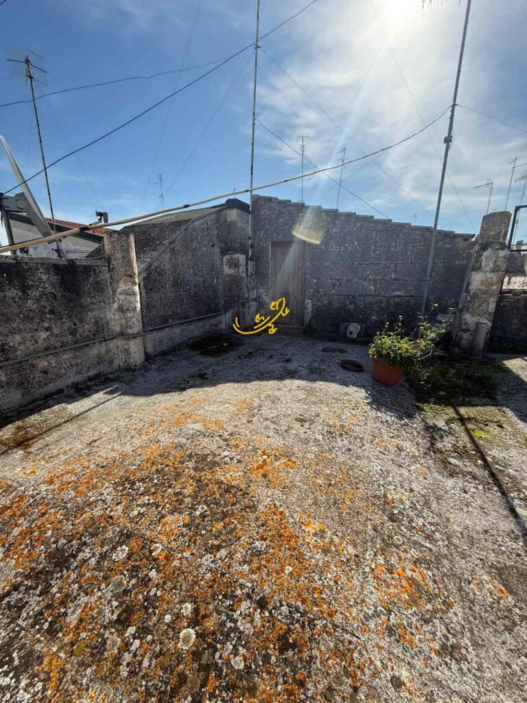 20260225103317-11