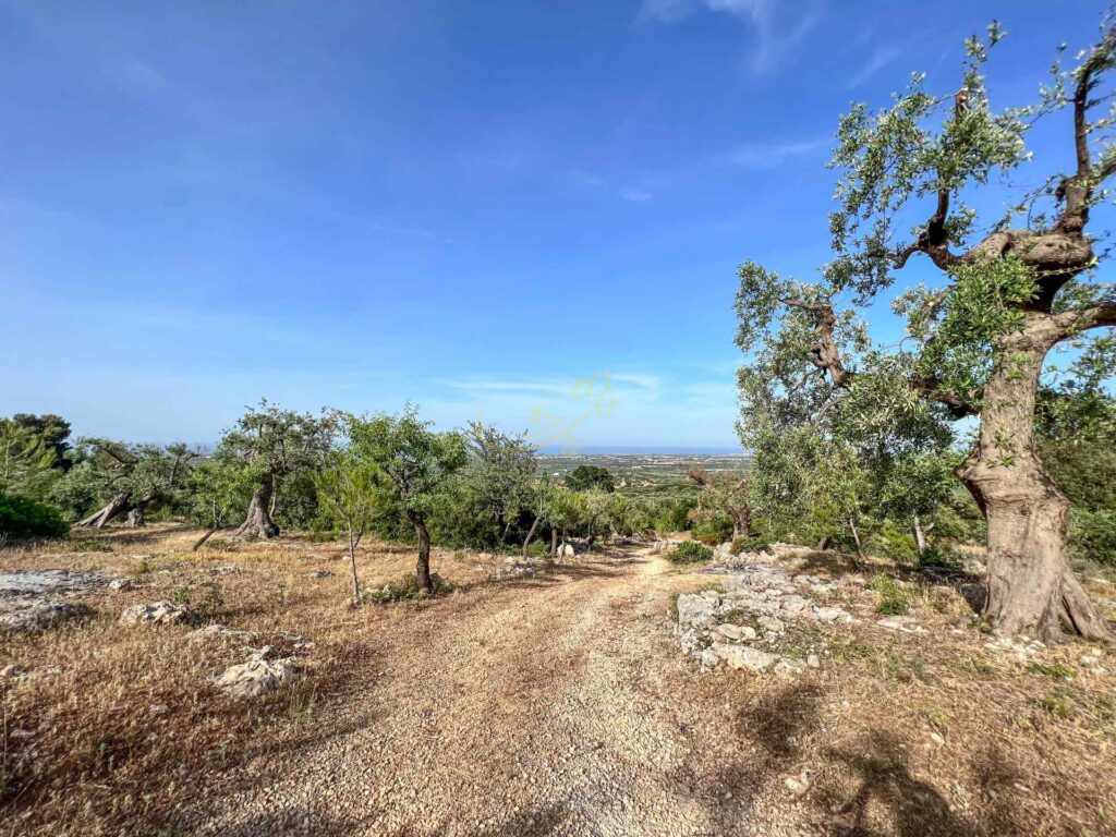 G1732483063145487