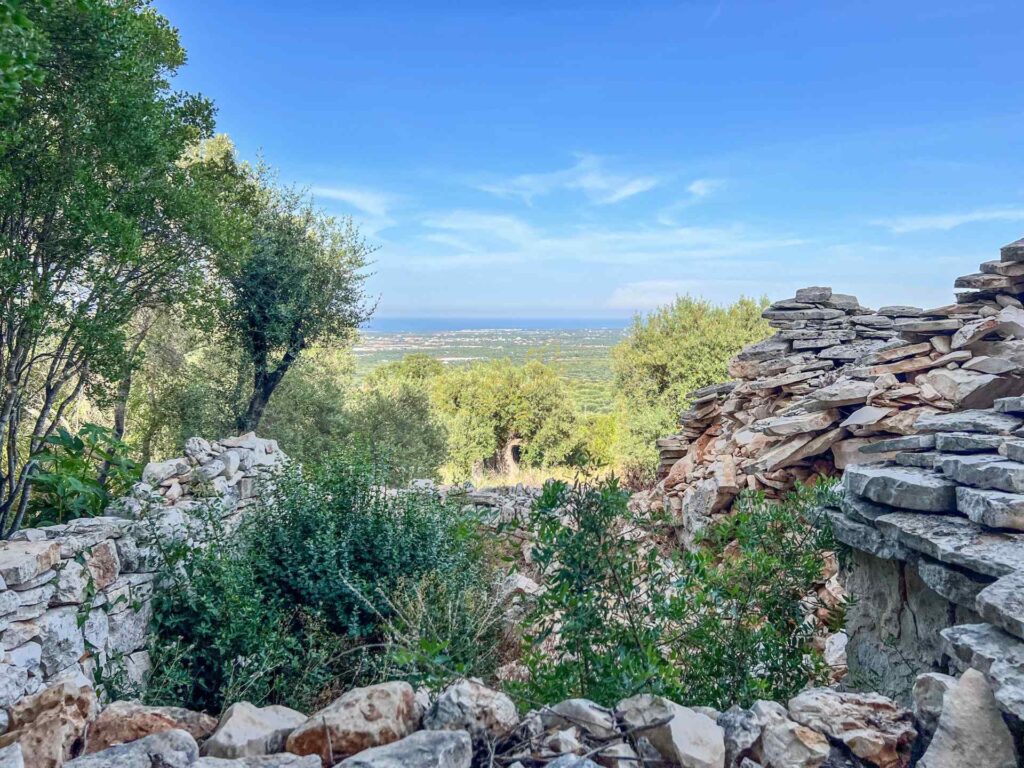 G1732483065313366