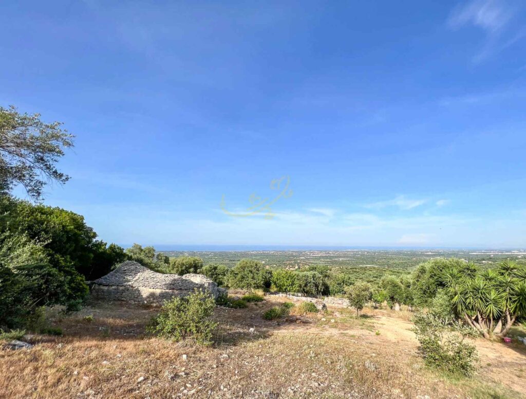 G173248306931726