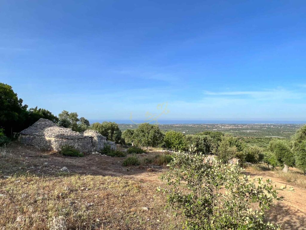 G1732483077369863