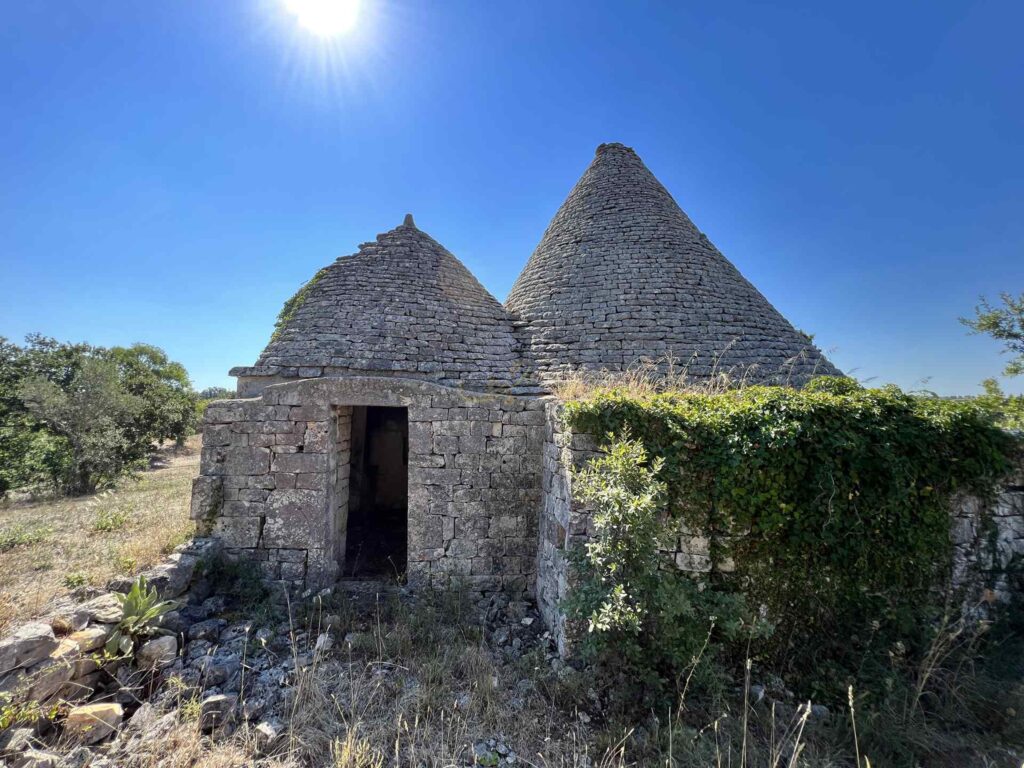 G1732483224182835