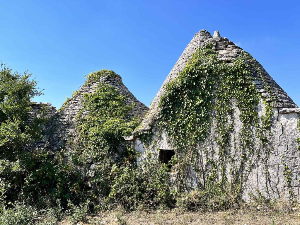 G173248322695651