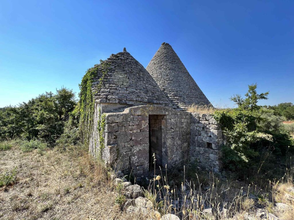 G1732483227802674