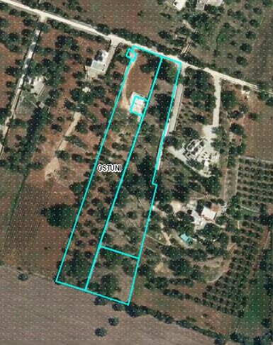 G1732484038391398