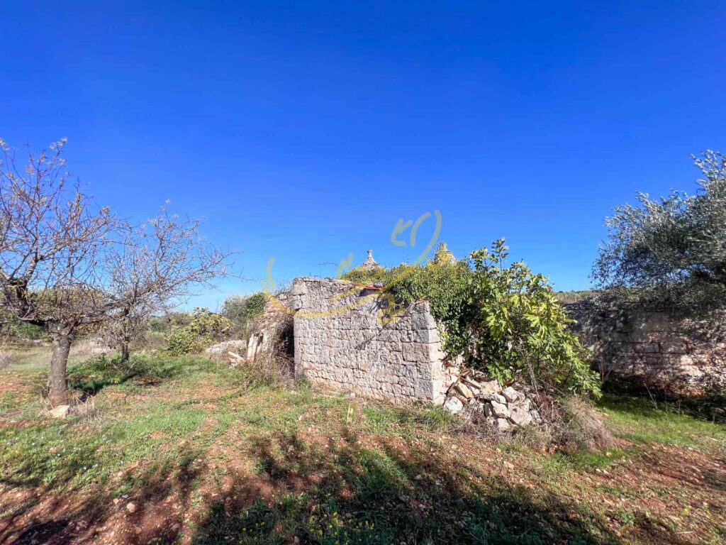 G1732484605805804