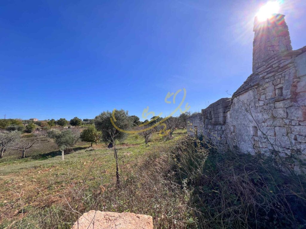 G1732484618935877