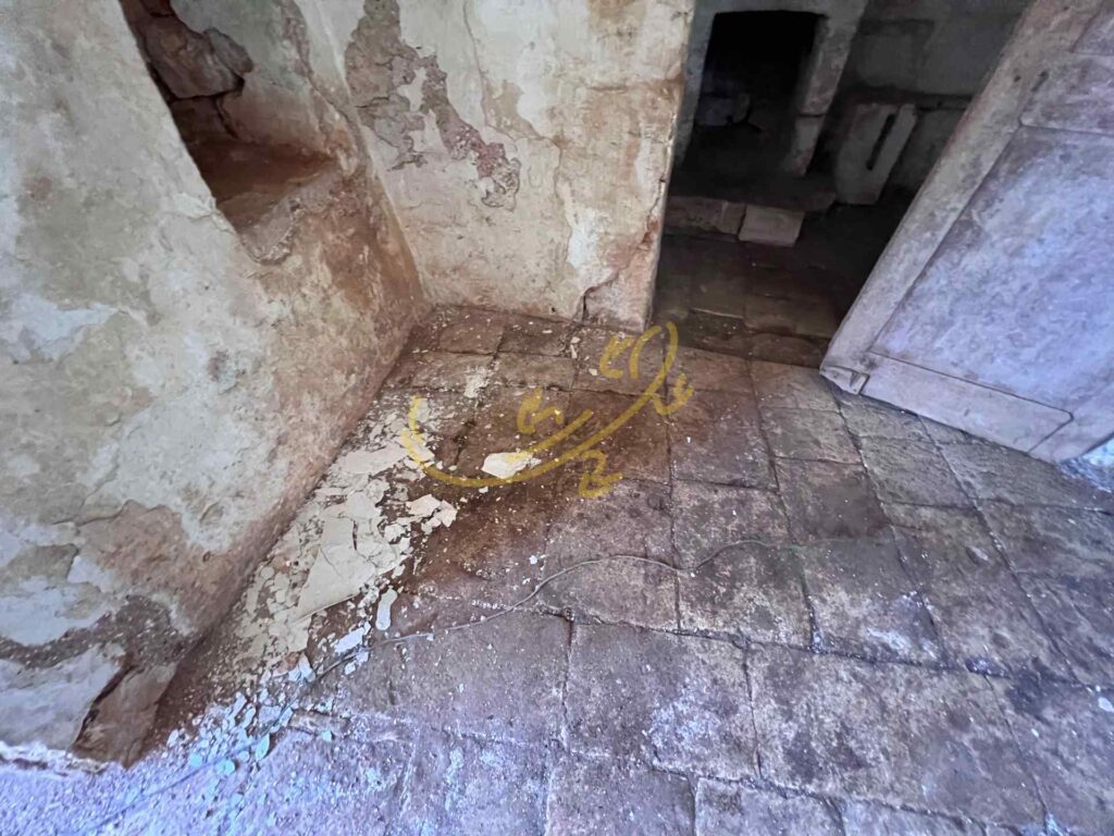G1732484623260038