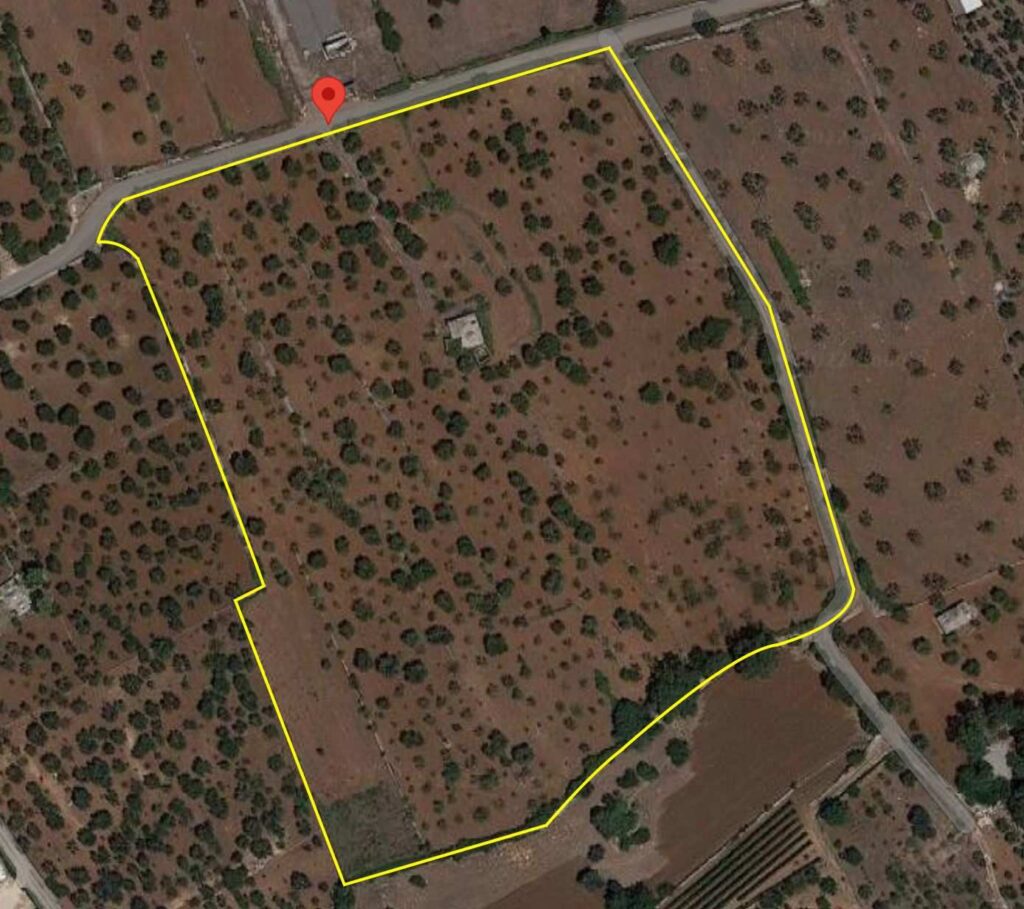 G1732484629782060