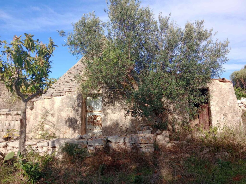 G1732484690314852