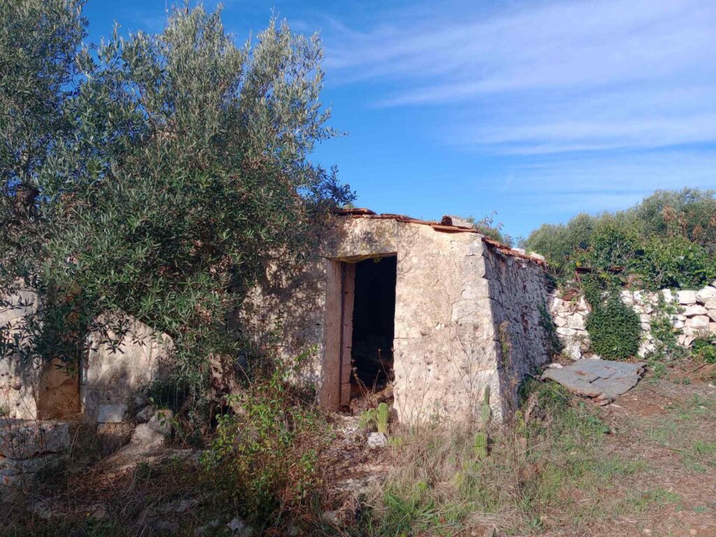 G1732484690792570