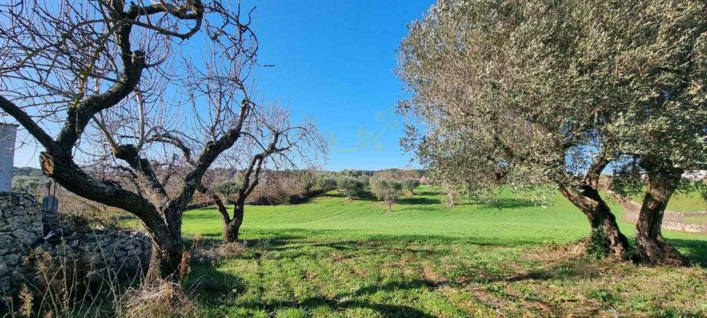 G173248470255124