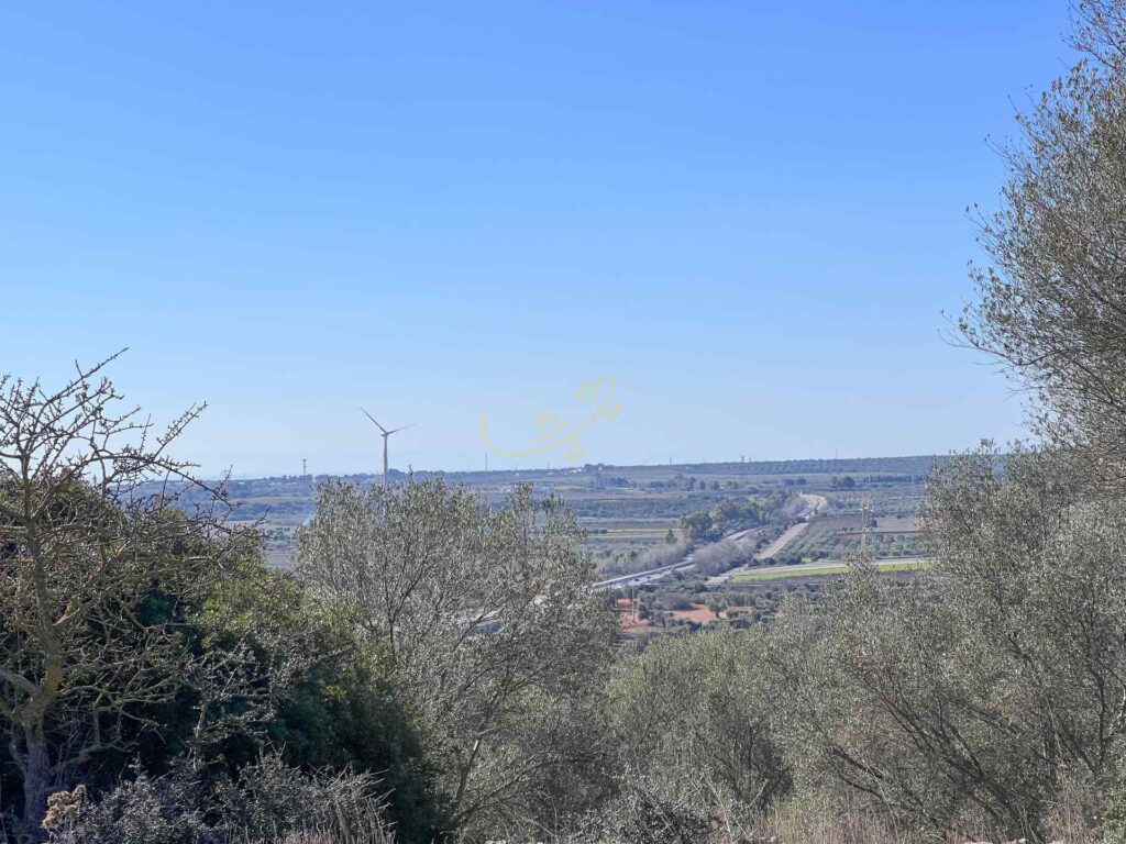 G1732484964963121