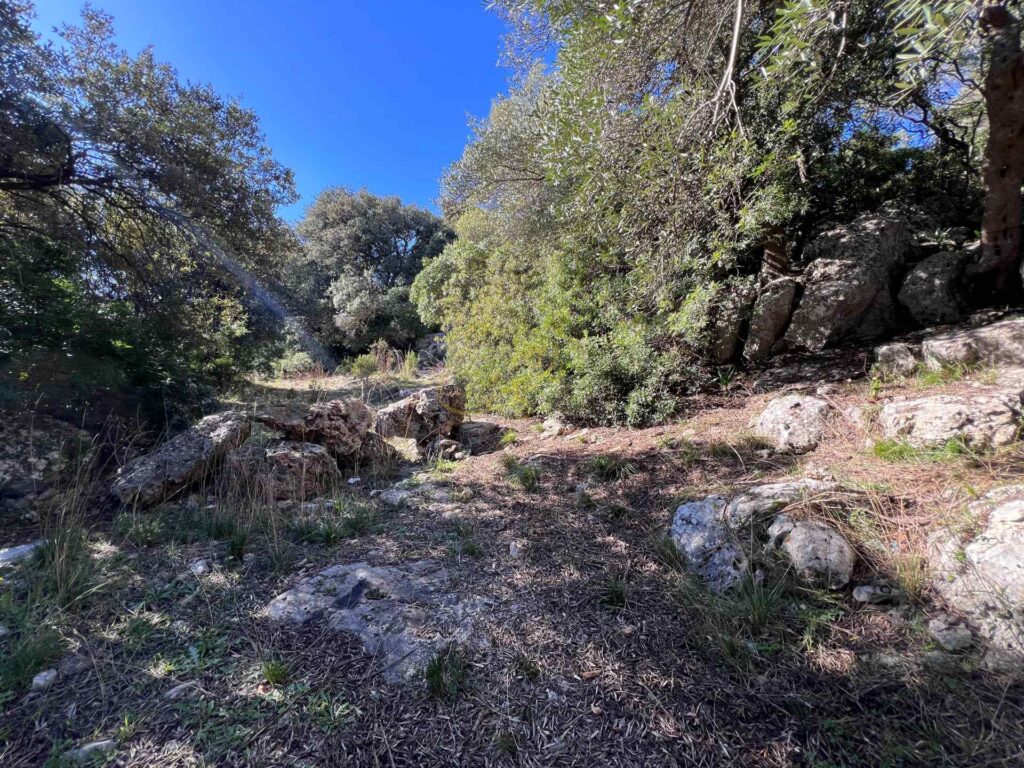 G1732484965455345