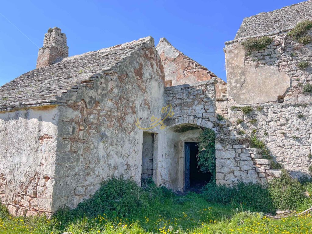 G17324850817554