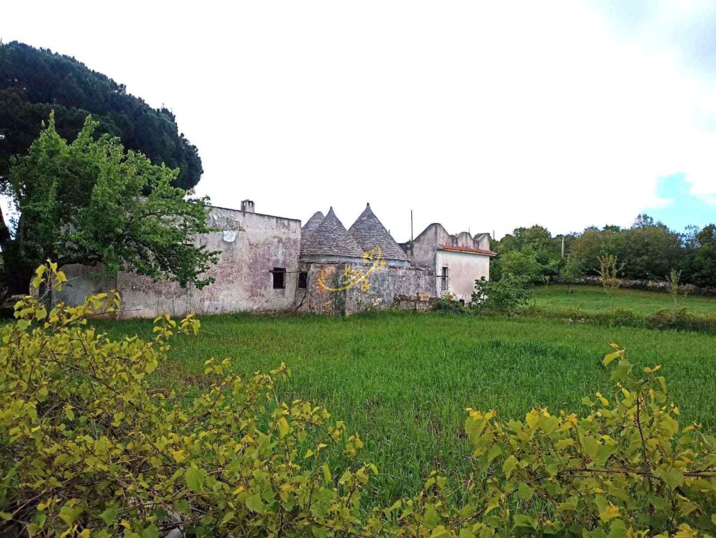G1732485310109283