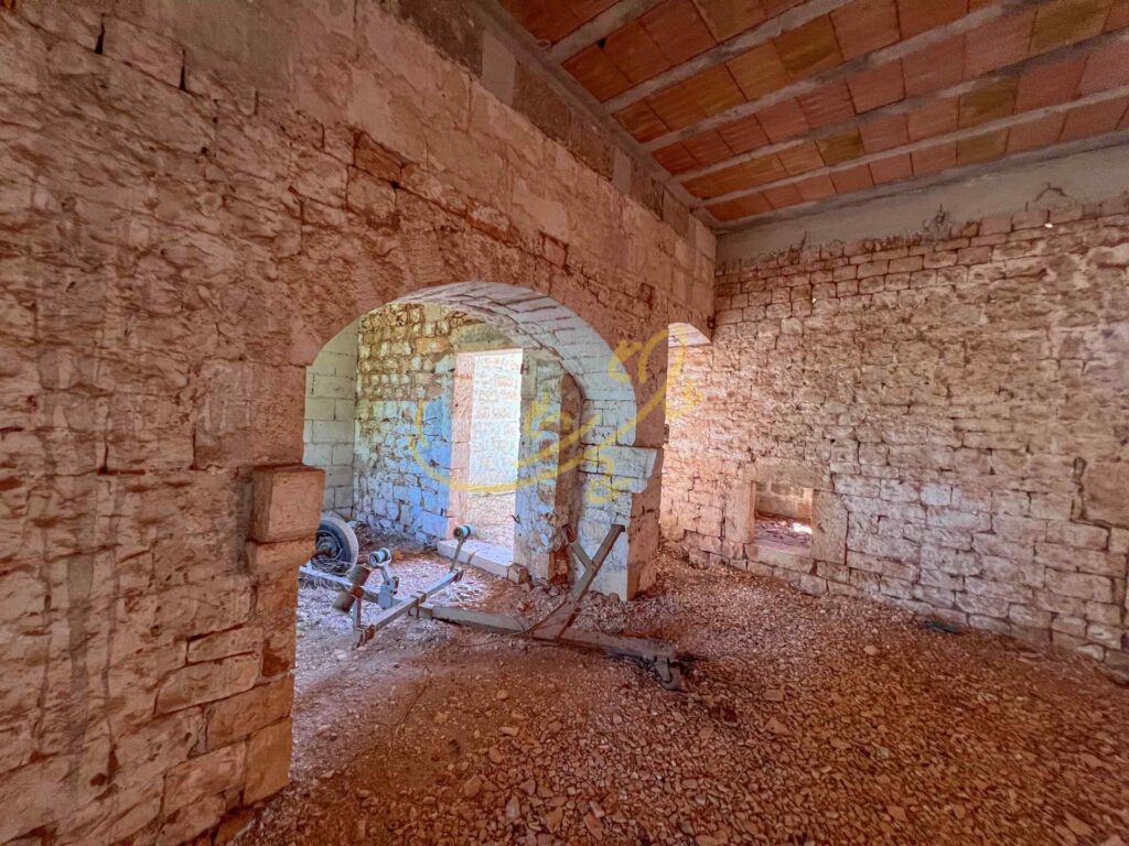 G1732485575300695