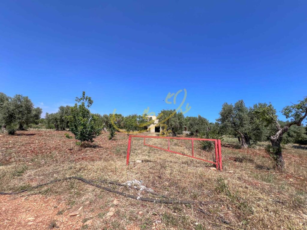 G1732485591257361