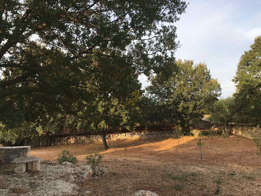 G1732485689638391