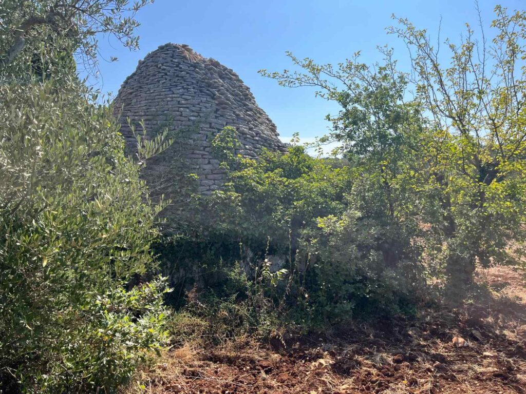 G1732485883325461