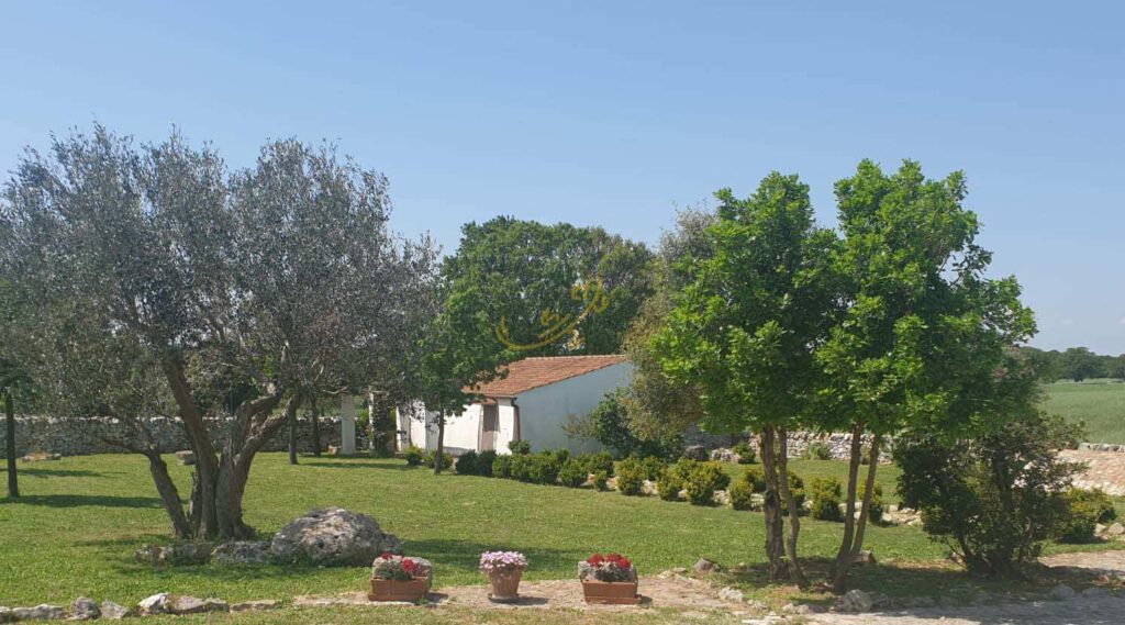 G1732485979174617