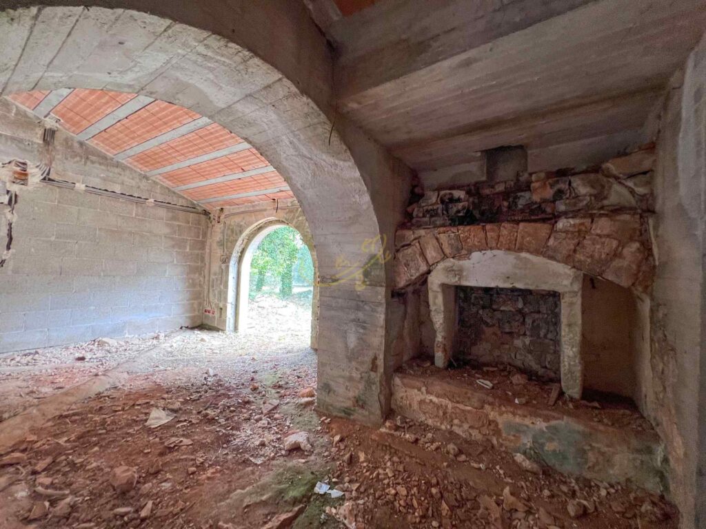 G1732486428960125