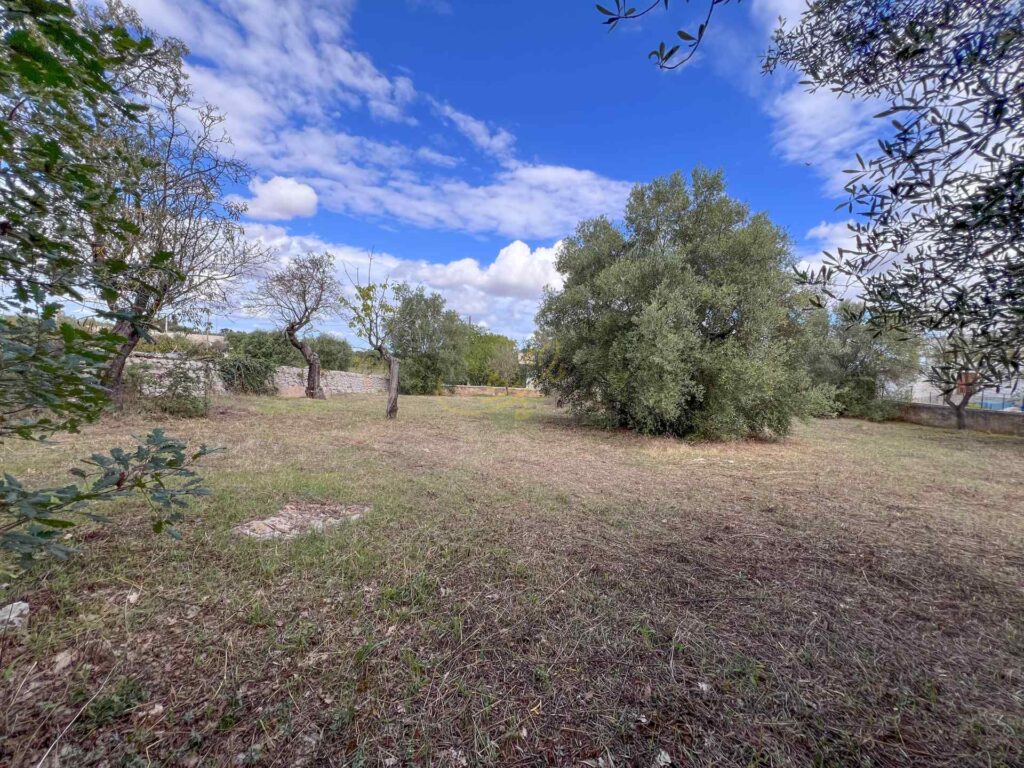 G1732486436451761